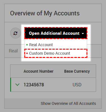 Open Custom Demo Account button.