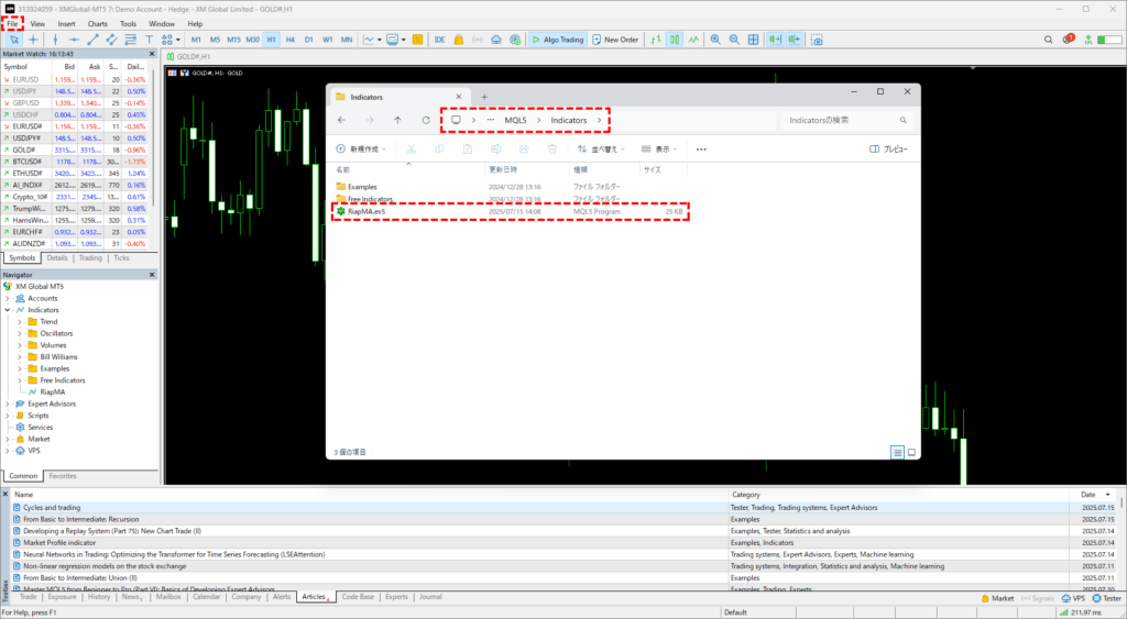 InteractiveMA installation step: placing the file in the data folder