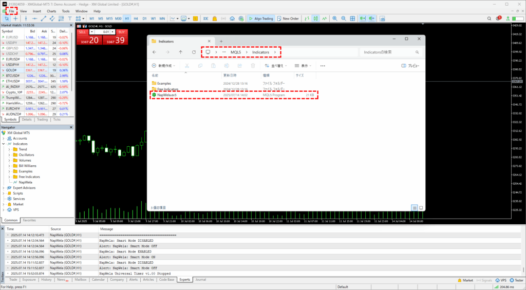 NapWela installation step 1: placing the file in the data folder