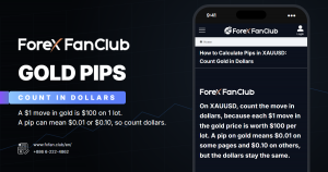 Pip ของ XAUUSD