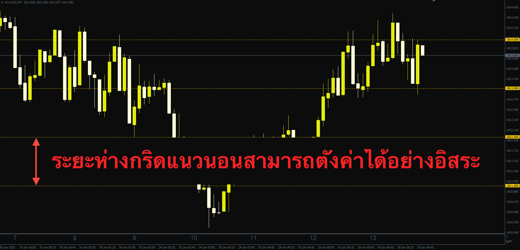 ตัวอย่างการแสดงเส้นตารางแนวนอน