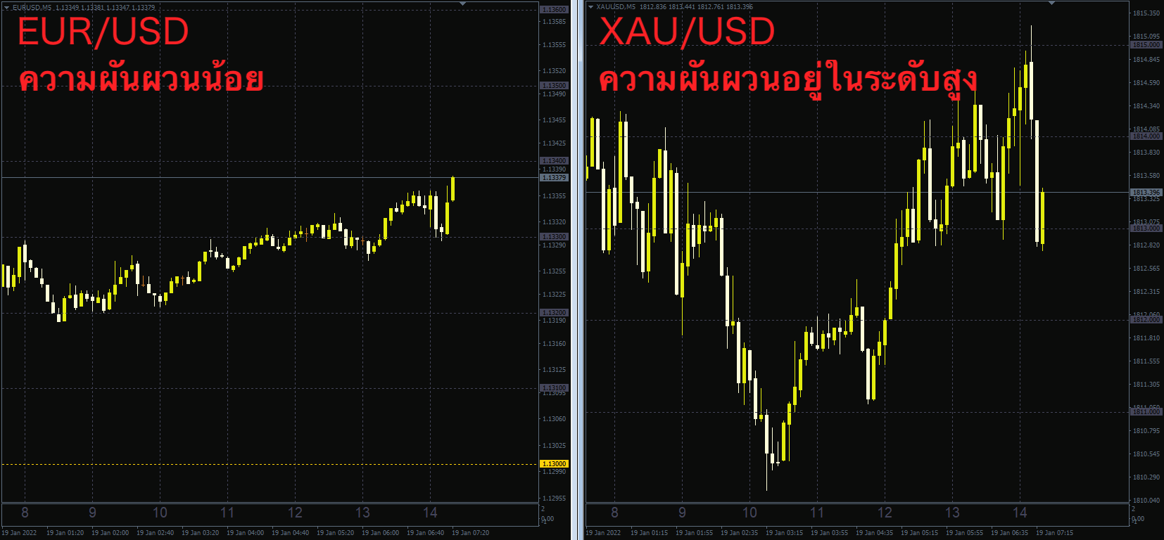 ความแตกต่างในความผันผวนของแต่ละตราสารทางการเงิน