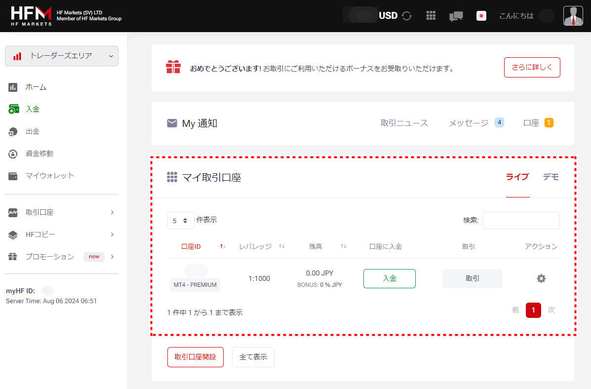 HFM_追加口座アカウント概要_pc