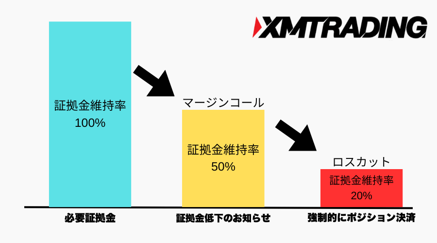 xm_ロスカットとは