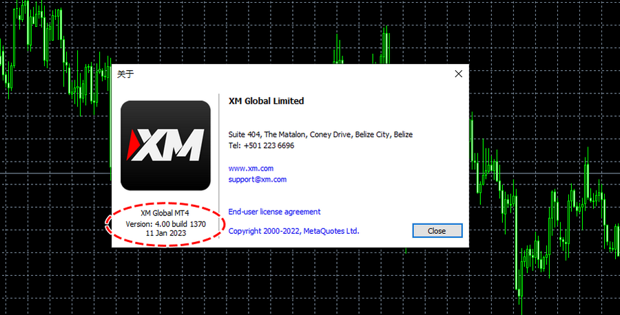 XM_确认MT4/MT5软件版本