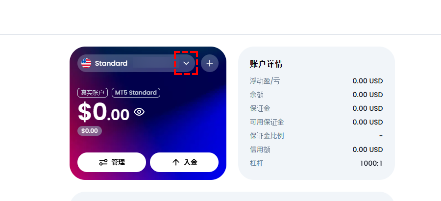 XM_我的账户概览_电脑版