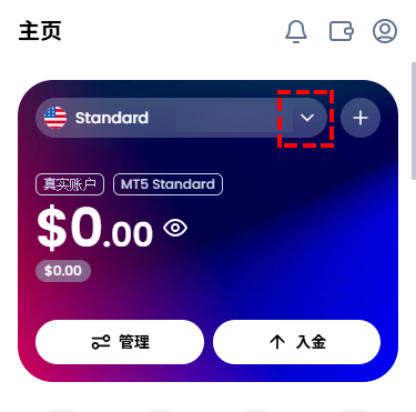 XM_我的账户概览_电脑版