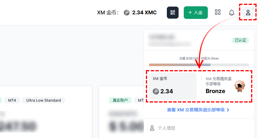 M_交易精英俱乐部_金币确认_电脑版
