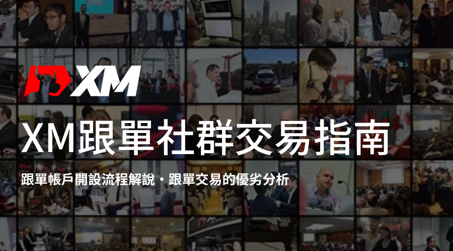 XM跟單社群交易指南_精選圖片